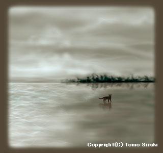 �C���X�g�^�g�ł��ۂ̔L