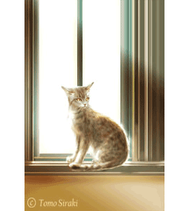 �C���X�g�^