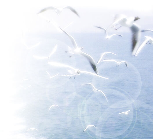 �C���X�g�^�����J��������